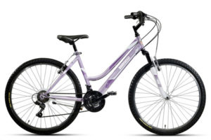 BN1725 Bicicletta Doniselli Mountain bike FS Groove uomo o donna